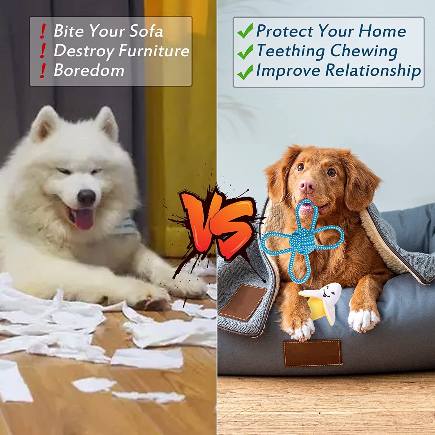 Dog Chew Toys for Puppy - Image 2